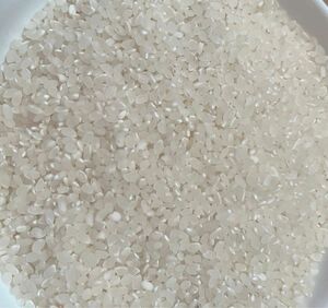 滋賀　近江　コシヒカリ　農薬不使用　白米　1.7kg 令和4年　古米　お試し　米