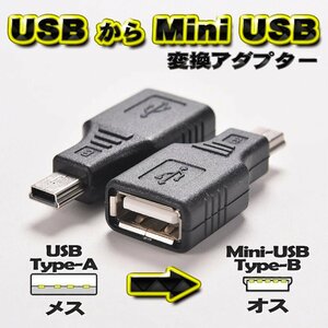 USB Type-A ( female ).Mini USB Type-B ( male ). conversion make adaptor 