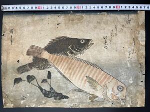 Art hand Auction [Genuino] Grabado en madera ukiyo-e genuino del período Edo de Hiroshige Utagawa I, Colección de peces: pargo dulce y pez roca Nishikie de gran formato Rare, Cuadro, Ukiyo-e, Huellas dactilares, otros