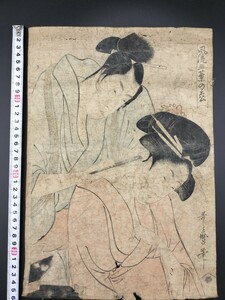 Art hand Auction [أصيلة] تحفة! طباعة خشبية أصلية من Ukiyo-e Kitagawa Utamaro [صنوبر أنيق ذو خمس أوراق] صورة لجمال, فترة ايدو, نيشيكي-إي كبيرة الحجم, تلوين, أوكييو إي, مطبوعات, صورة لامرأة جميلة