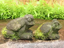 がま二匹　長さ24.5cm、20cm　蛙　庭石　九州産天然石_画像3