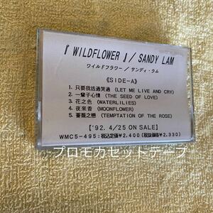 SANDY LAM / WILDFLOWER (SAMPLE TAPE FOR PROMOTION ONLY)