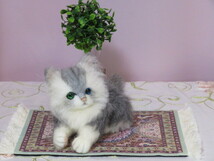 ★chako★ 羊毛フェルト　猫　　チンチラシルバー　子猫　アルパカ羊毛使用_画像9