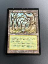 トレカ　MTG ガイアの揺籃の地/Gaea's Cradle 日本語/JP USG マジック ザ ギャザリング_画像1