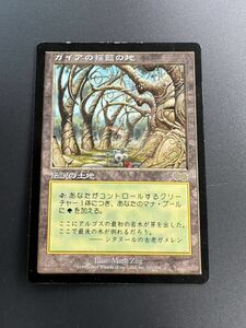 トレカ　MTG ガイアの揺籃の地/Gaea's Cradle 日本語/JP USG マジック ザ ギャザリング