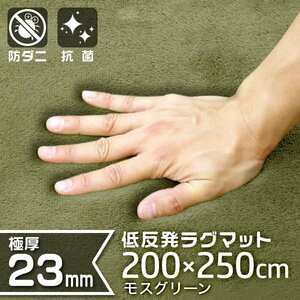 ラグマット 厚手 カーペット 3.2畳 200x250cm 極厚23mm 低反発ウレタン 洗える 絨毯 抗菌 防ダニ 緑 グリーン モスグリーン Lサイズ