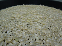 令和5年度 茨城県産 農家直送 こしひかり コシヒカリ 玄米30kgを精米済み 約27kg 全国送料無料!!!49_画像3