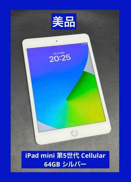 美品　iPad mini 第5世代 Cellular 64GB シルバー