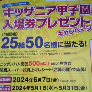 ニッポンハムレシート懸賞応募 キッザニア甲子園 入場券1組2枚 数量2あり