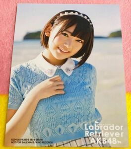 AKB48 ラブラドールレトリバー 通常盤封入特典生写真 宮脇咲良 HKT48 