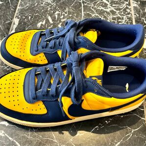 Nike Terminator Low Michigan ターミネーター