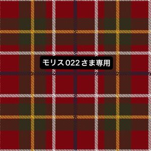 【専用】ドラえもん＋ピカチュウset