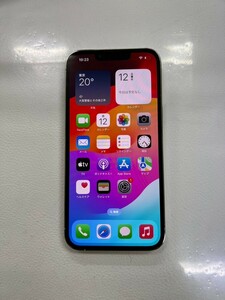 iPhone13 Pro 512GB シルバー　 SIMフリー 利用制限〇 Apple