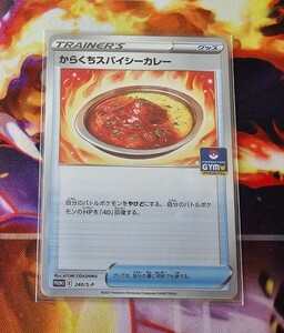 未使用美品 からくちスパイシーカレー　プロモ　ポケモンカードゲーム　トレーナーズ　グッズ　汎用