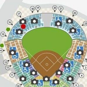 甲子園5月17日（金）18時☆阪神タイガースチケット☆2連番レフト指定席／阪神×ヤクルト戦／TORACOデー【カテゴリⅢの日】