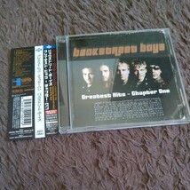 backstreet boysバックストリートボーイズ BEST アルバム CD「Greatest Hits - Chapter One 」国内盤 ベスト グレイテスト・ヒッツ 初回_画像1