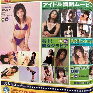 4276 遊ぶDVD&CD-ROM 2004.3 堀口としみ 眞鍋かをり 後藤麻衣子 吉沢萌 MISAKIの画像3