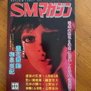 5176　ＳＭマガジン　1978/10　和泉亜紀　笠間しろう　荒川也寸志　浜田晃　前田寿安　天堂寺慎