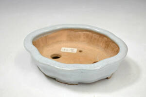 【盆栽鉢】　在銘　釉薬塗楕円鉢　高さ：40mm　150×125mm　●　陶器　鉢　1004003-1