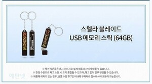 ステラブレイド　USB　初期限定特典