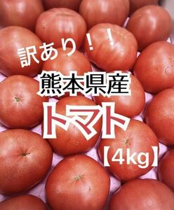 【匿名配送】 毎年大好評！ 熊本県産 訳あり トマト 4kg程度