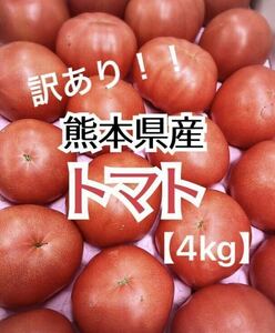 【匿名配送】 毎年大好評！ 熊本県産 訳あり 塩混じりトマト 4kg程度