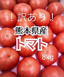 毎年大好評！ 熊本県産 訳あり 塩混じりトマト 8kg程度