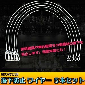 落下防止 ワイヤー ５本セット 舞台照明 機材落下防止 照明機材 パーツ ケーブル セーフティ 転倒防止 スポットライト 照明 防災 地震対策