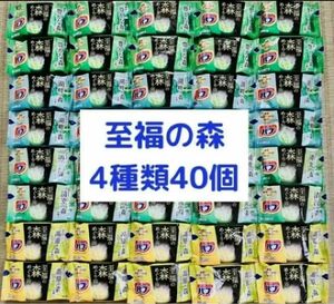 入浴剤　花王バブ　kao 至福の森めぐり浴　4種類40個　数量限定　期間限定　色つき透明湯　