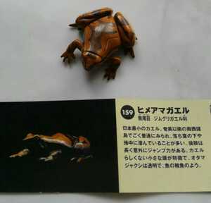 海洋堂 チョコQ アニマテイルズ6 ヒメアマガエル カエル 日本の動物コレクション 未使用 カプセル エッグ 水族館 1種