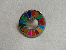 SDGs ピンバッジ ミニレターで送料無料 _画像1