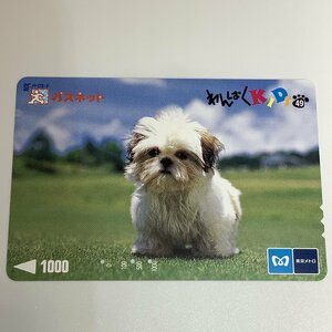 パスネット　東京メトロ　犬　子犬　どうぶつ　わんぱくKIDS　3穴　使用済み