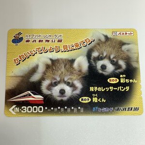 パスネット　東武鉄道　東武動物公園　レッサーパンダ　双子　陸　彩　６穴　使用済み