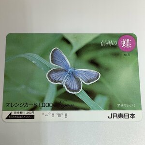 オレンジカード　オレカ　JR東日本　信州の蝶　アサマシジミ　蝶々　4穴　使用済み