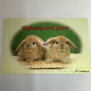  highway card ... rabbit . tea color two pcs ... raw animal animal used .