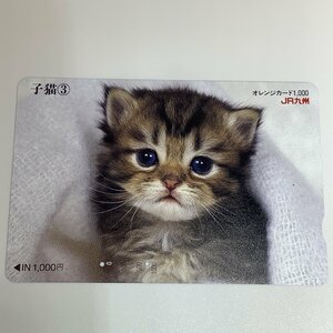 オレンジカード　オレカ　JR九州　ネコ　子猫　動物　アニマル　2穴　使用済み