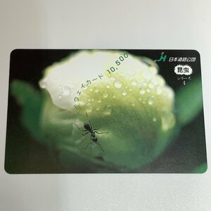  highway card insect series . have flower rain water drop of water insect used .