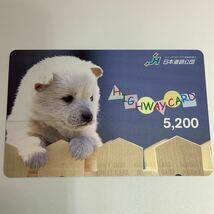  highway card dog 