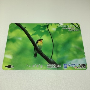 営団地下鉄　都営地下鉄　共通　メトロカード　3穴　小さなやすらぎ　日本の野鳥　キビタキ　野鳥　使用済み