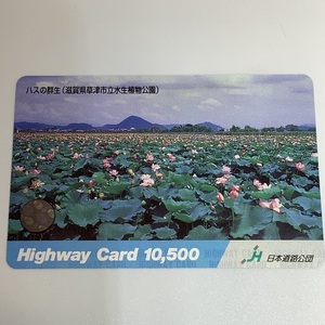  highway card is s. group raw Shiga prefecture Kusatsu city . aquatic plant park aquatic plant park plant park lotus group raw used .
