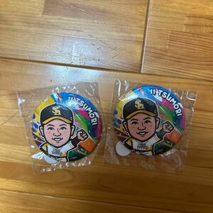 ソフトバンクホークス ファイト九州 津森選手 缶バッチ2個セット