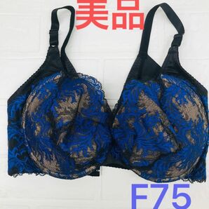 補整下着MARUKO カーヴィシャス　3/4カップ　F75