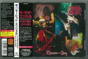 MORBID ANGEL ／ インタングルド・イン・ケイオス　国内ＣＤ帯付　　　検～ grind obituary deicide carcass napalm death