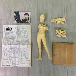 FALCHION ファルシオン 1/6 ZEIRAM ゼイラム IRIA イリア ガレージキット