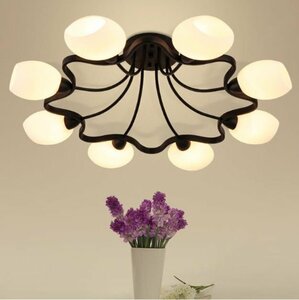  beautiful goods * Germany Vintage chandelier 8 light Northern Europe Mid-century lamp lighting light ceiling light 