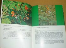 生物毒1981『香港の有毒植物 HONG KONG Poisonous Plants（英文）』 Ho Mang=Hang 著_画像6