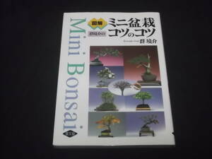 送料140円　図解　群境介の　ミニ盆栽コツのコツ　群境介　