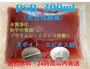 PSB（光合成細菌）300ml エビオス錠・スポイト付き 