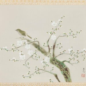 [.] Nakamura spring mud [ white plum ] genuine work silk book@ coloring hanging scroll also box 