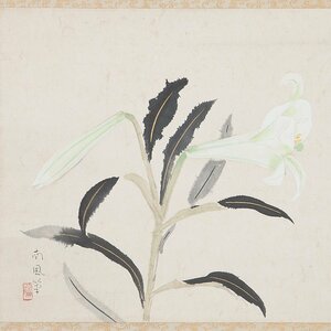 Art hand Auction [5] कटयामा नानपु व्हाइट लिली पेपर, रंग, लटकता हुआ स्क्रॉल, डिब्बा, चित्रकारी, जापानी चित्रकला, फूल और पक्षी, वन्यजीव